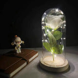 LED Rosendekoration