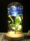 LED Rosendekoration