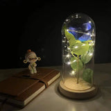 LED Rosendekoration