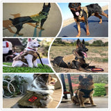 Taktisches Hundegeschirr mit Metallschnalle