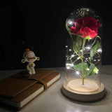 LED Rosendekoration