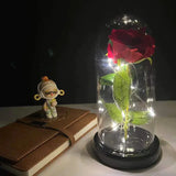 LED Rosendekoration