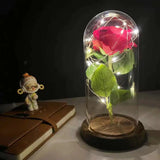 LED Rosendekoration