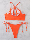 Monokini Brazilian Beachwear