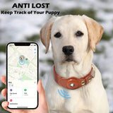 Lederhalsband für Hunde mit Verlustschutz