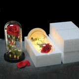 LED Rosendekoration