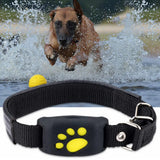 GPS-Halsband für Haustiere