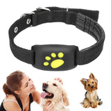 GPS-Halsband für Haustiere