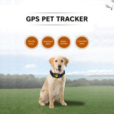 GPS-Halsband für Haustiere