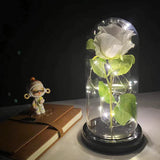 LED Rosendekoration