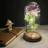 LED Rosendekoration