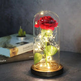 LED Rosendekoration